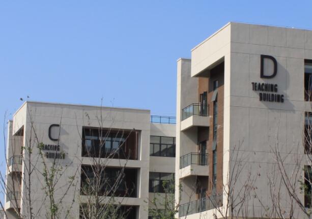 1530813369590390.jpg 1530813369590390.jpg